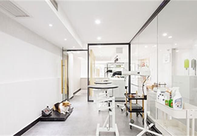 合肥寵物店設(shè)計裝修考慮什么？裝修公司重點總結(jié)