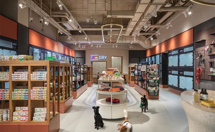 合肥工裝設(shè)計(jì)分享，活潑俏皮的寵物店裝修案例